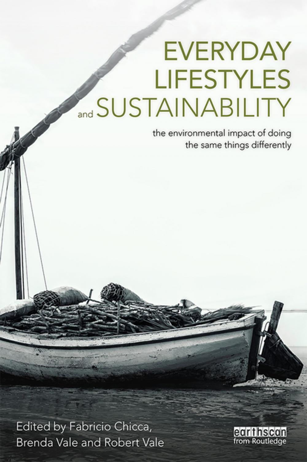 Big bigCover of Everyday Lifestyles and Sustainability