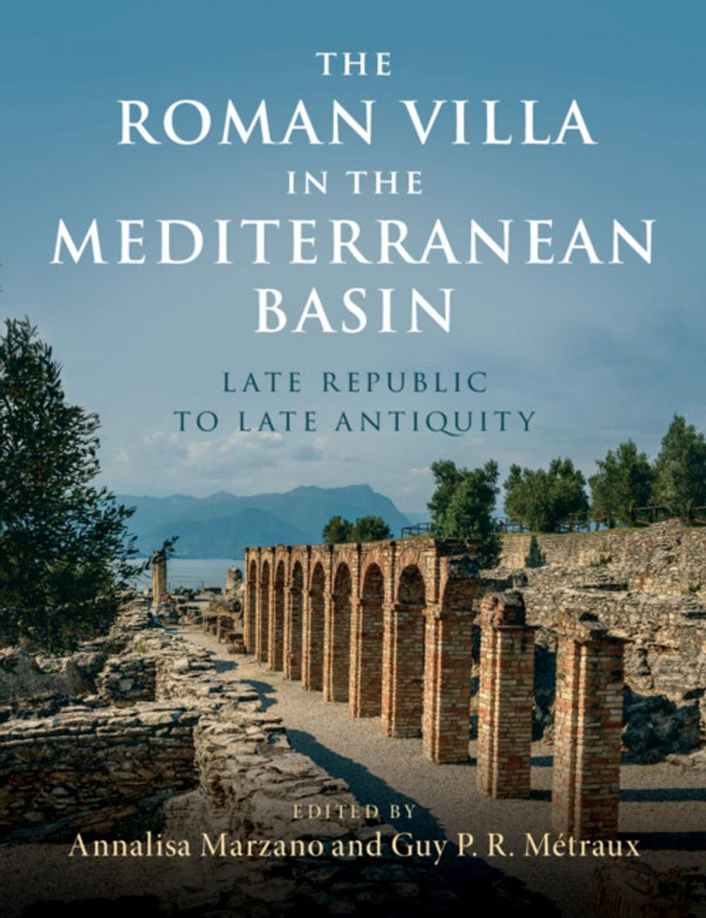 Big bigCover of The Roman Villa in the Mediterranean Basin