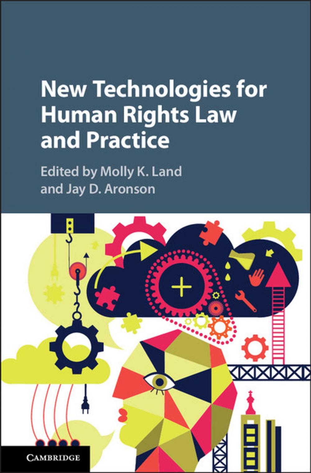 Big bigCover of New Technologies for Human Rights Law and Practice