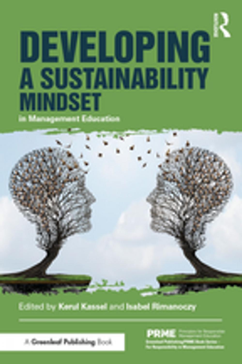 Big bigCover of Developing a Sustainability Mindset in Management Education