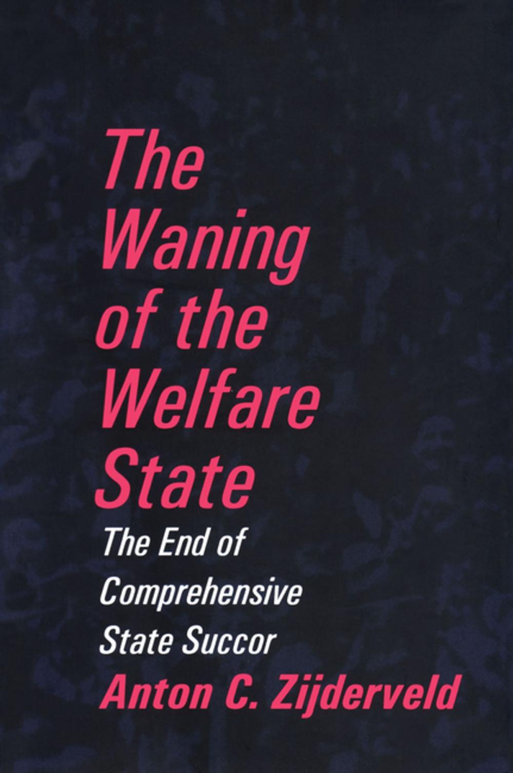 Big bigCover of The Waning of the Welfare State