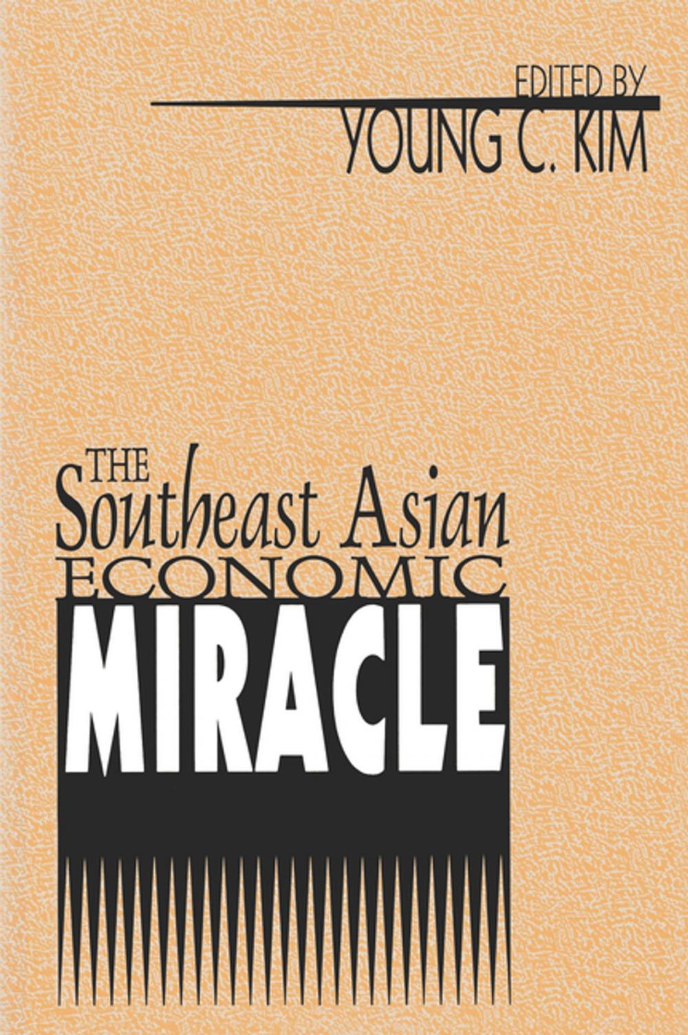 Big bigCover of The Southeast Asian Economic Miracle