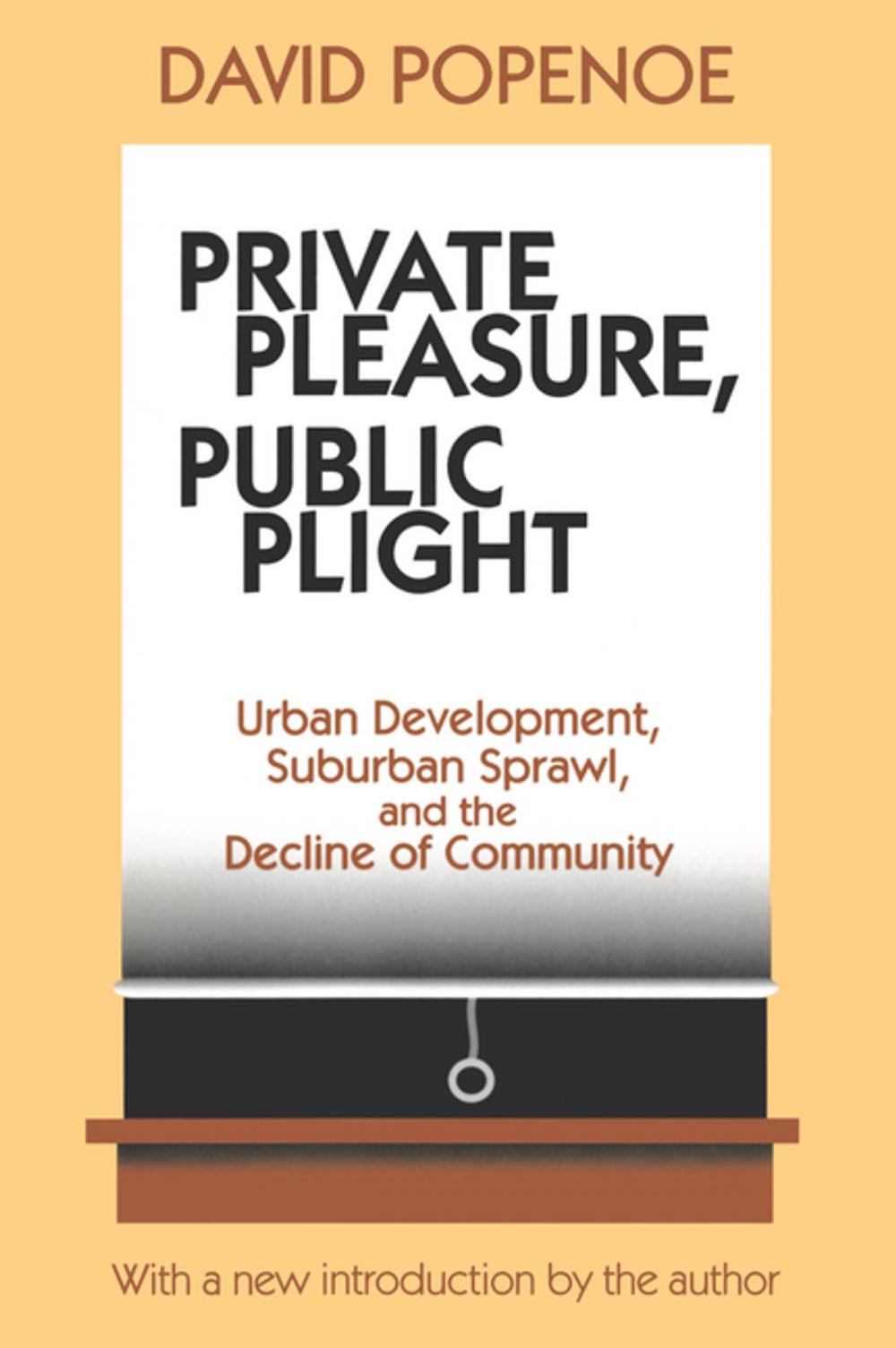 Big bigCover of Private Pleasure, Public Plight