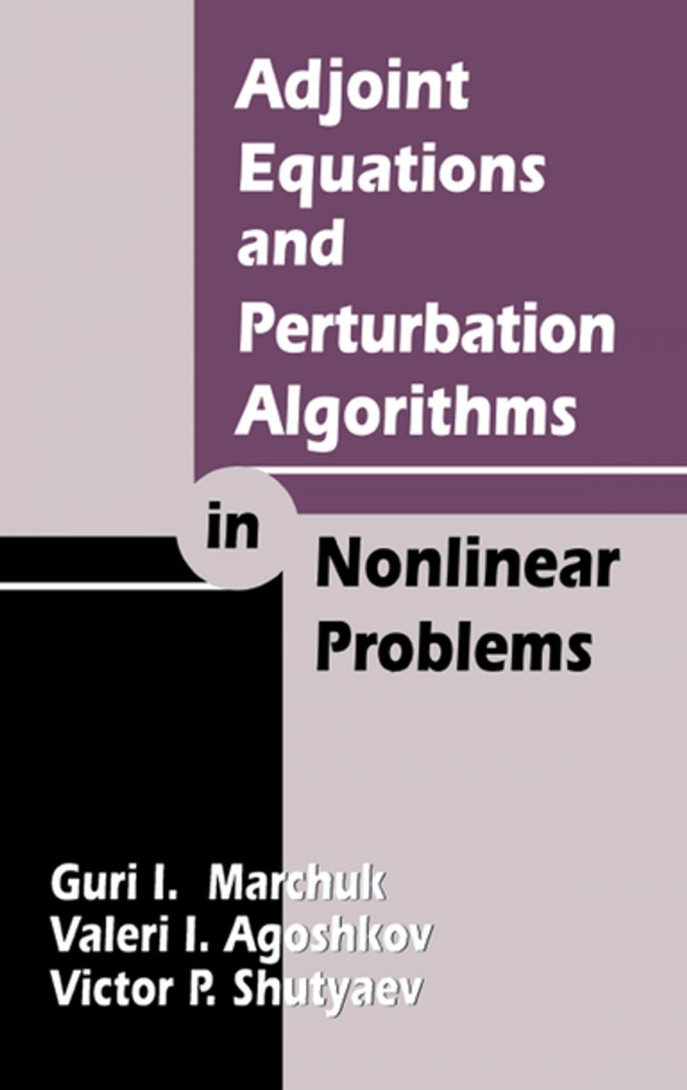 Big bigCover of Adjoint Equations and Perturbation Algorithms in Nonlinear Problems