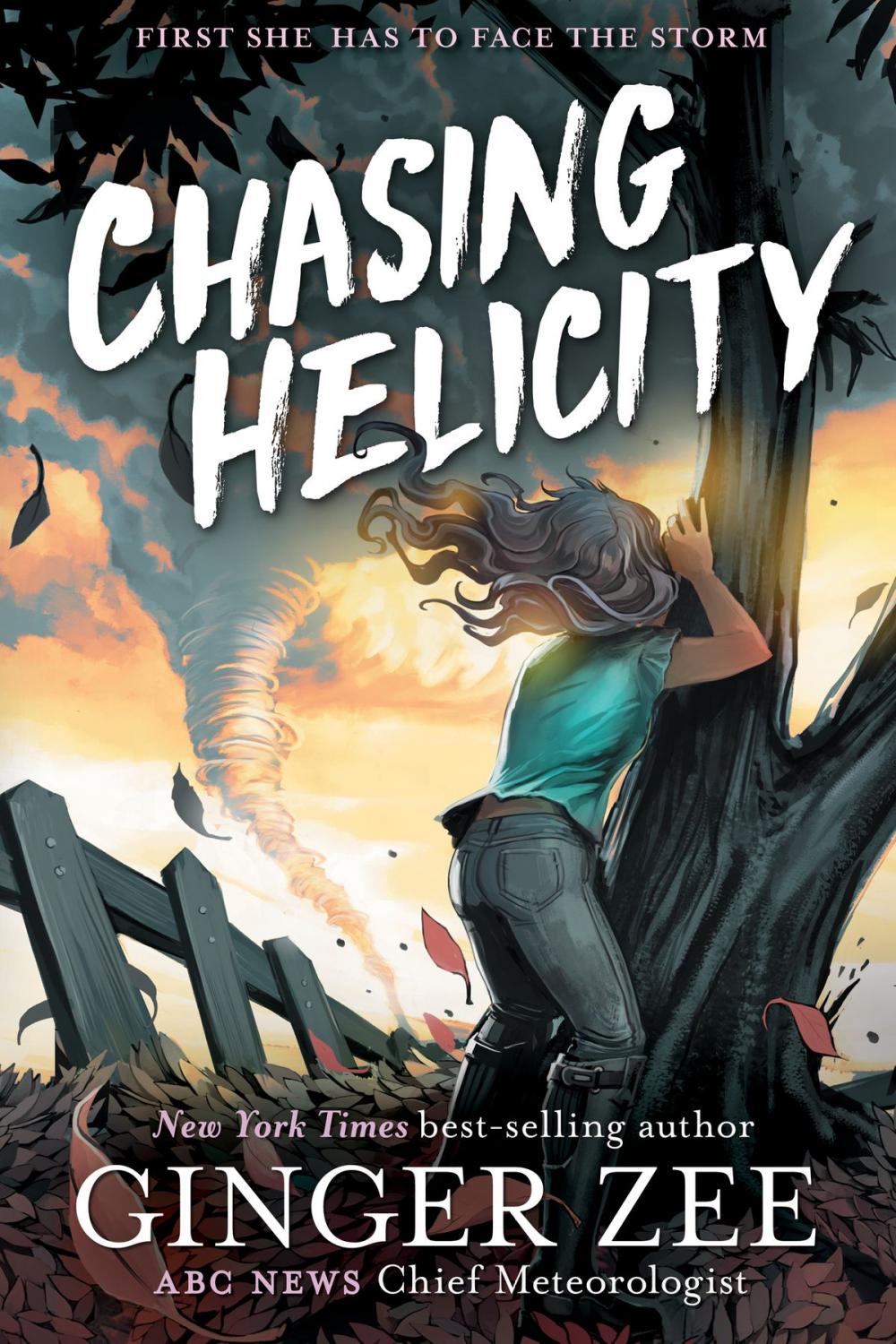 Big bigCover of Chasing Helicity