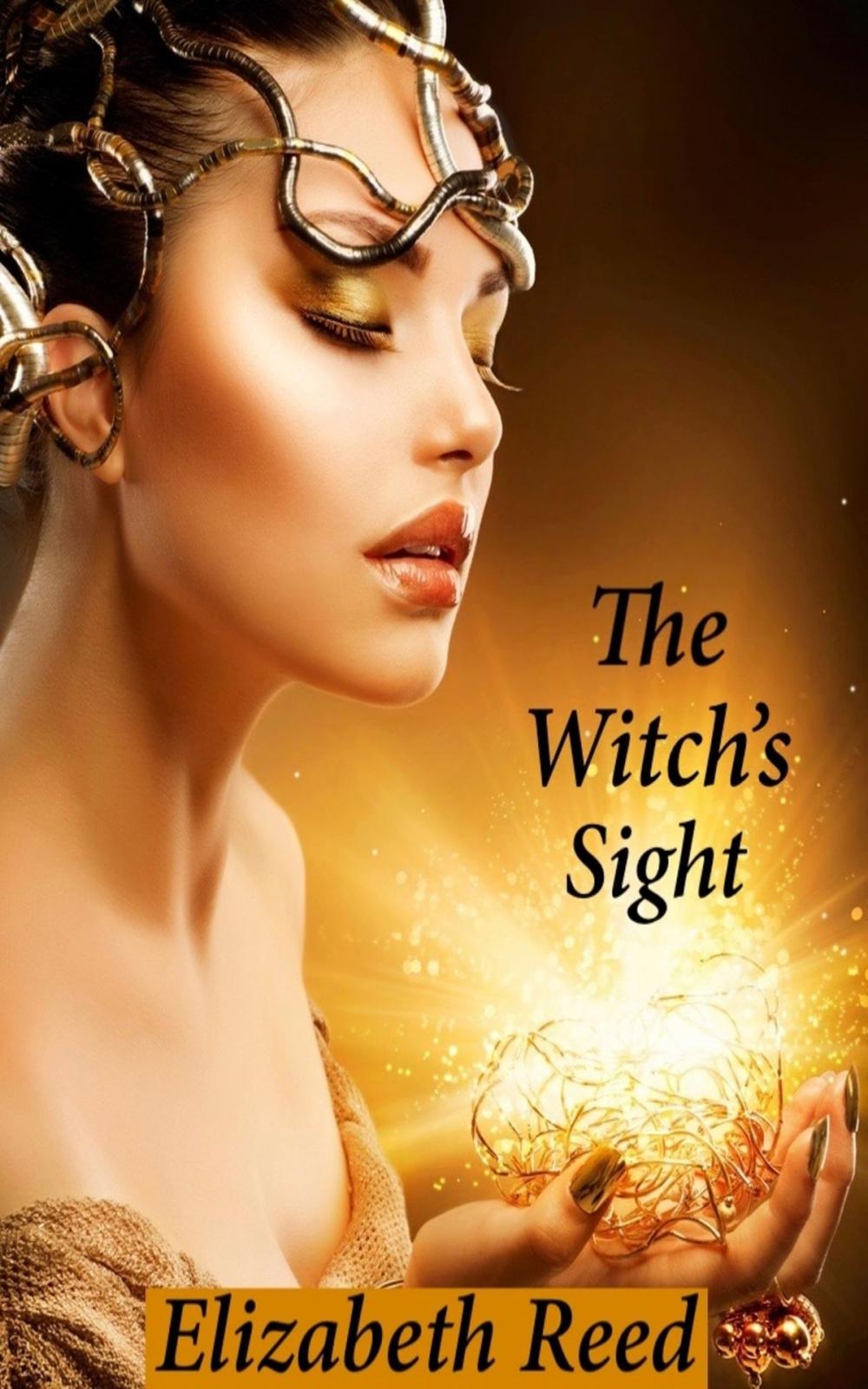 Big bigCover of The Witch’s Sight