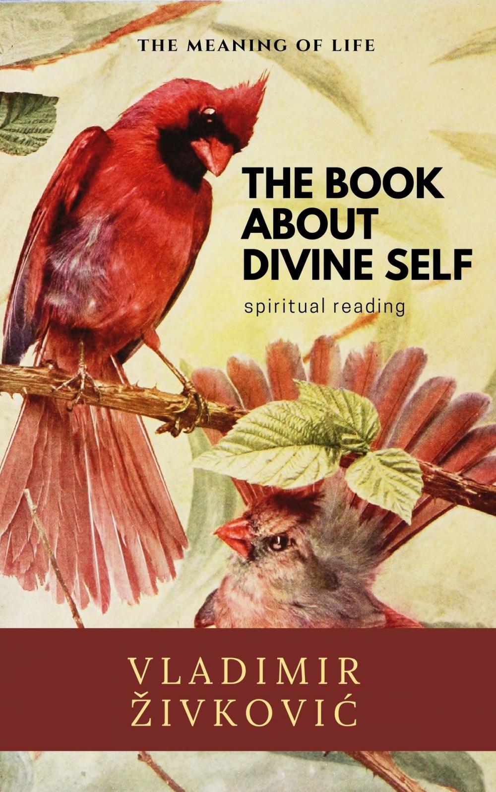 Big bigCover of The Book About Divine Self