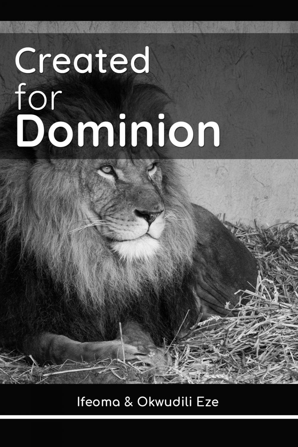 Big bigCover of Created for Dominion