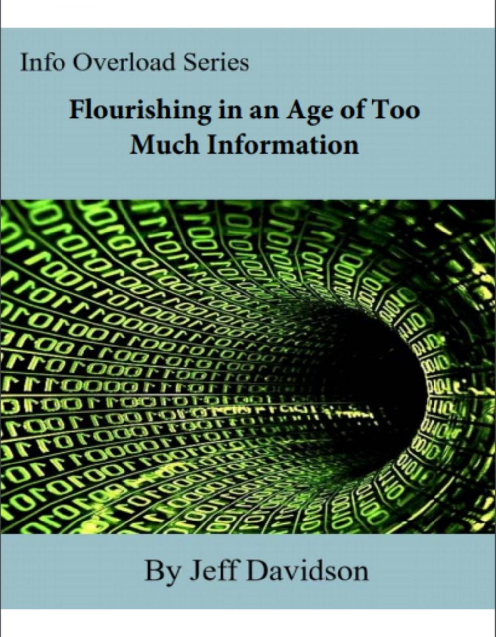 Big bigCover of Flourishing in an Age of Too Much Information