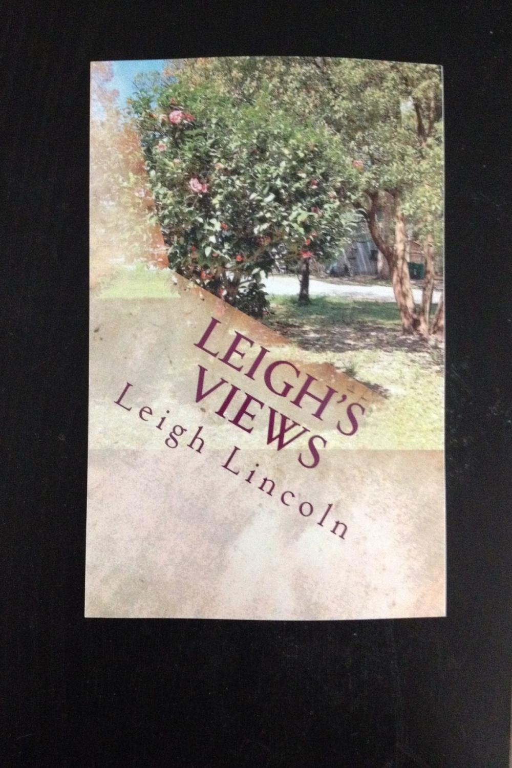 Big bigCover of Leigh's Views