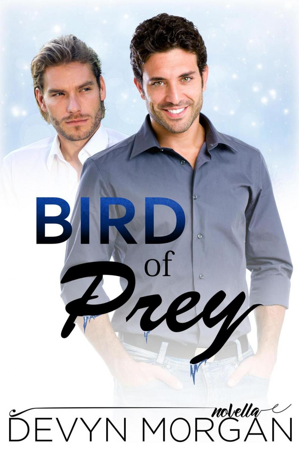 Big bigCover of Bird of Prey