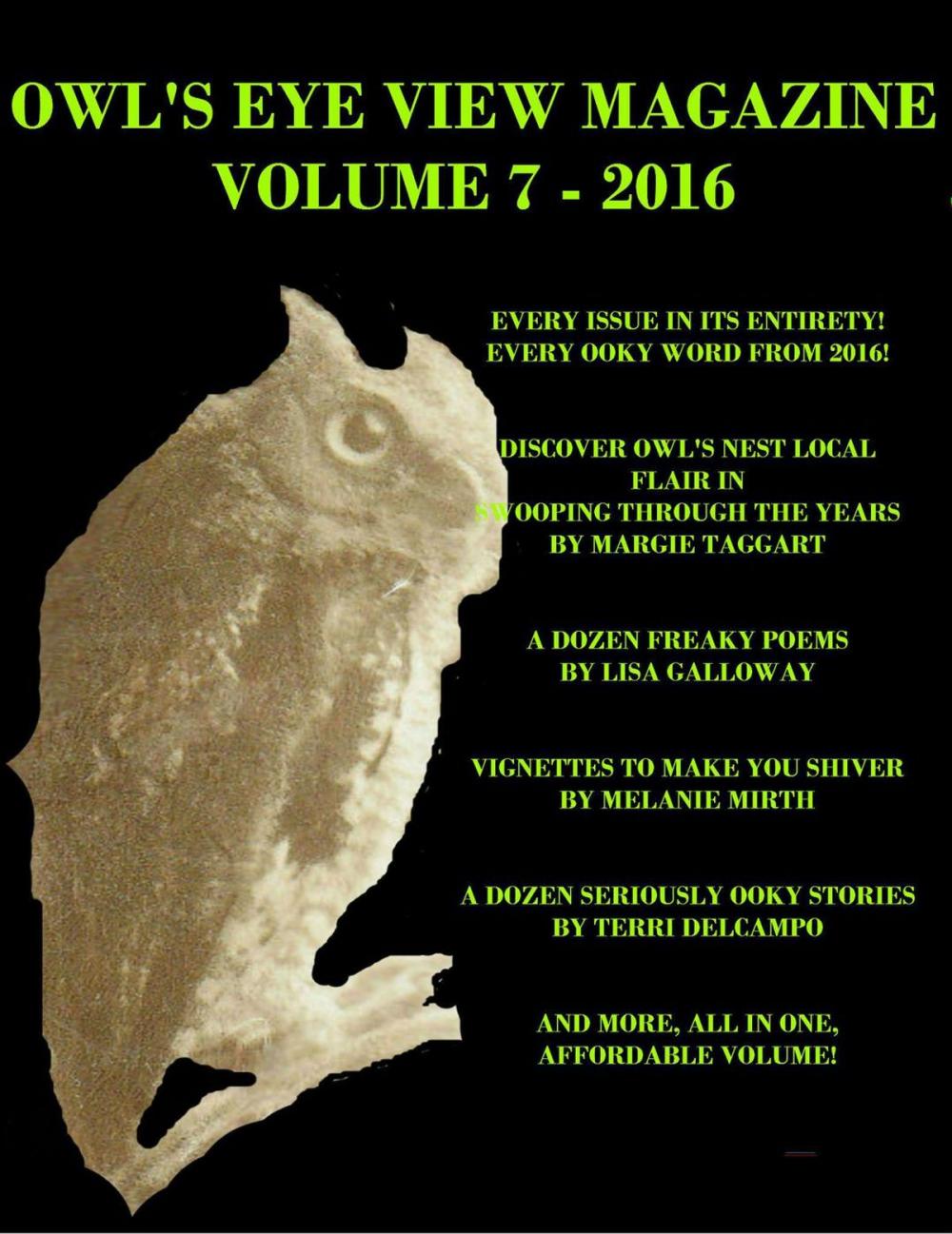 Big bigCover of Owl's Eye View Magazine - Volume 7 - 2016 - Year End Bundle