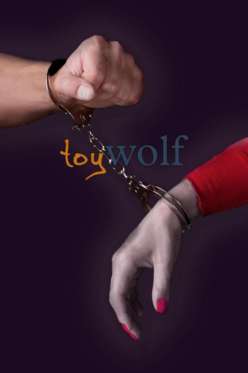 Big bigCover of Toy Wolf