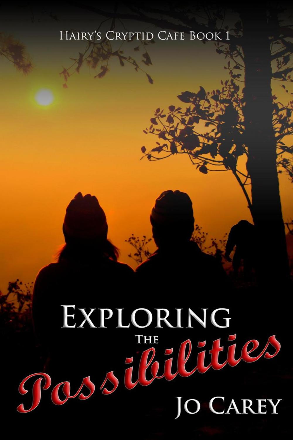 Big bigCover of Exploring the Possibilities