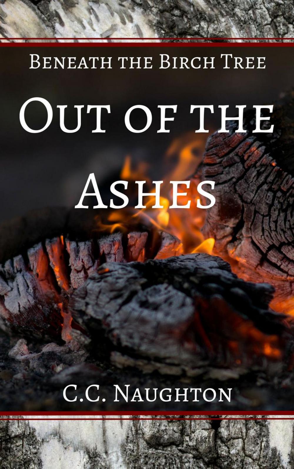 Big bigCover of Out of the Ashes