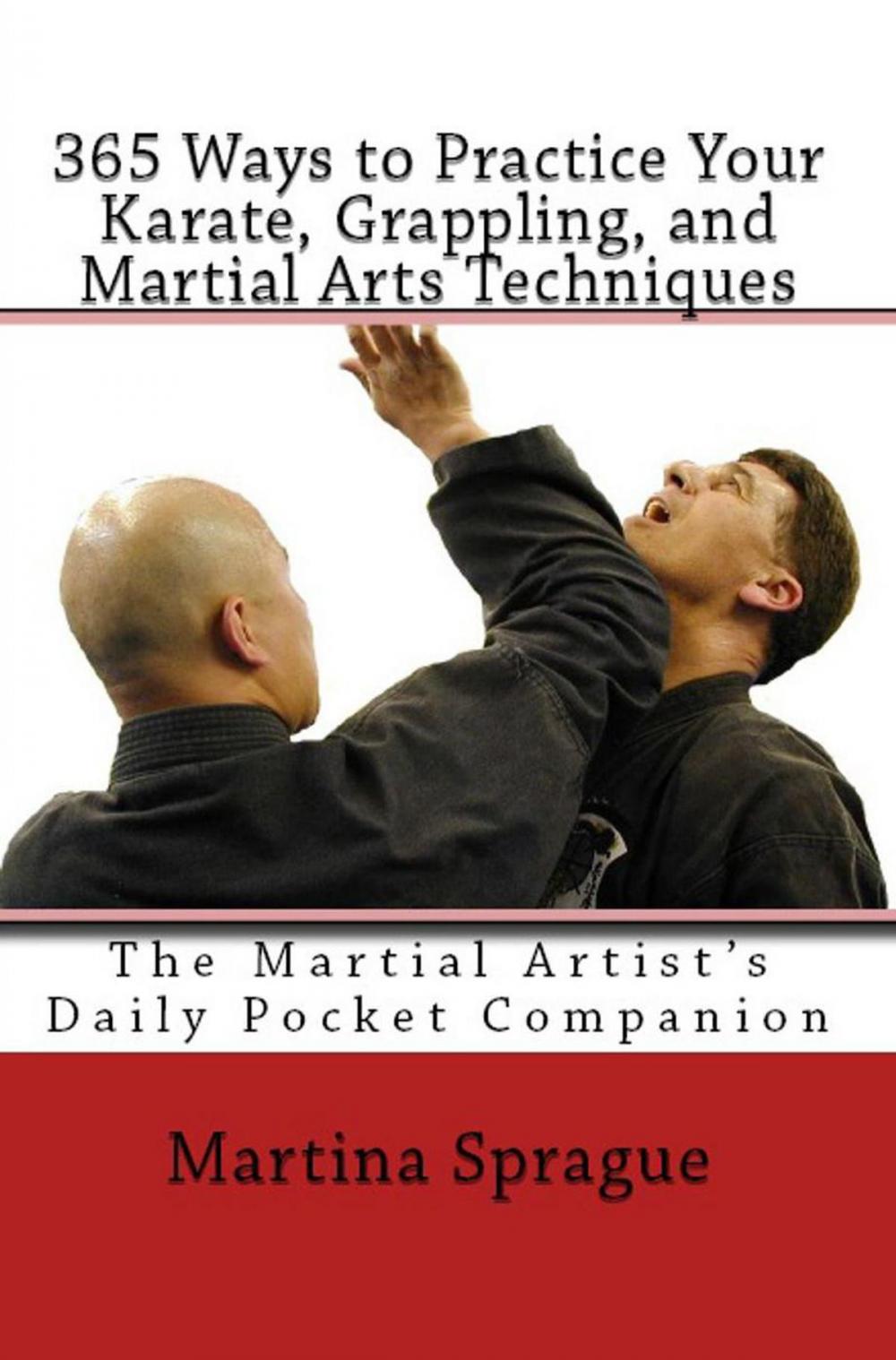 Big bigCover of 365 Ways to Practice Your Karate, Grappling, and Martial Arts Techniques: The Martial Artist's Daily Pocket Companion