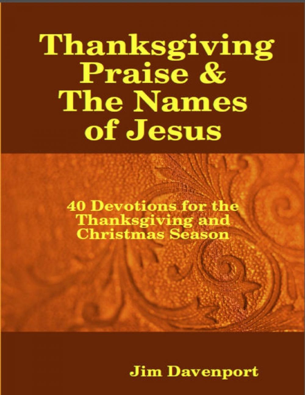 Big bigCover of Thanksgiving Praise & the Names of Jesus - 40 Devotions for the Thanksgiving and Christmas Season