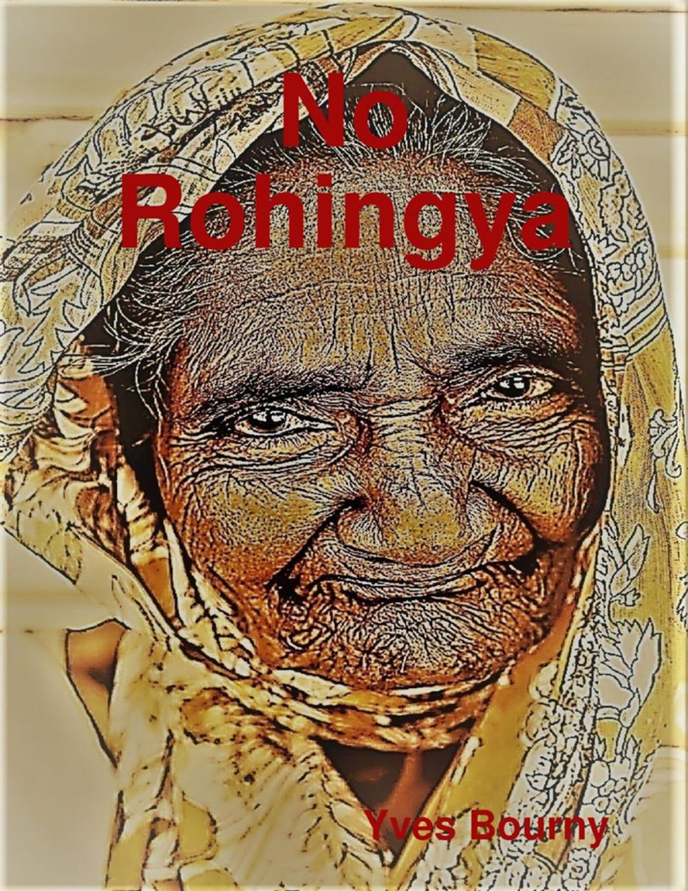 Big bigCover of No Rohingya