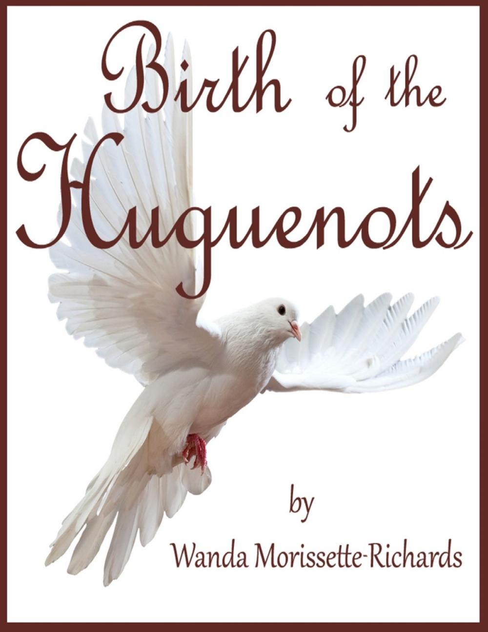 Big bigCover of Birth of the Huguenots