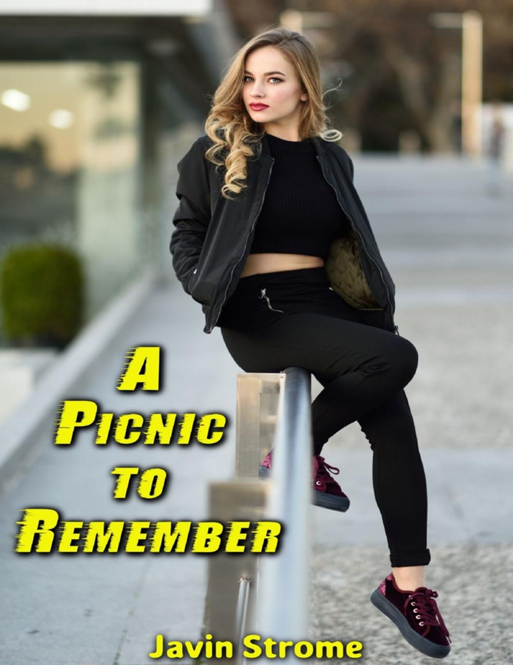 Big bigCover of A Picnic to Remember