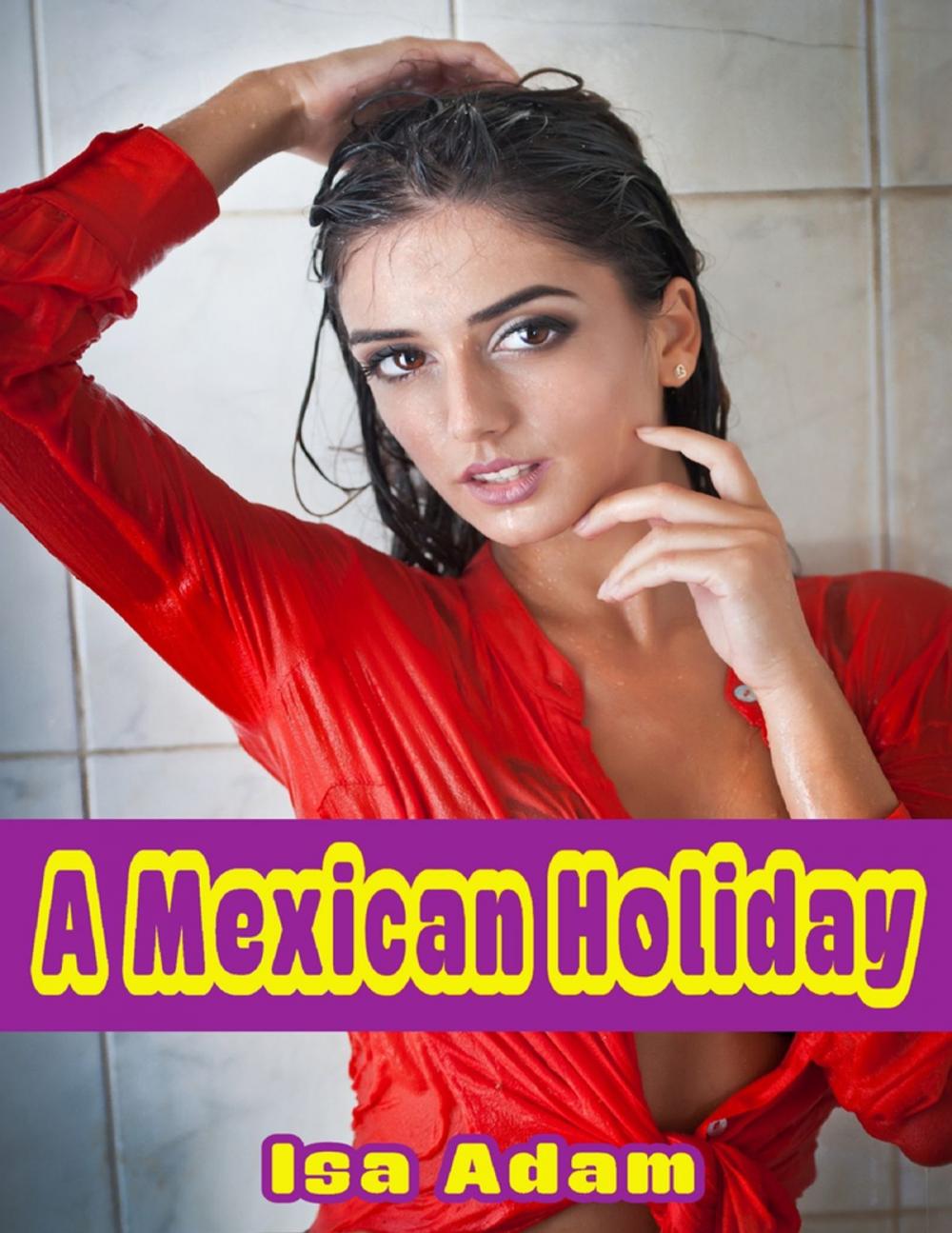 Big bigCover of A Mexican Holiday