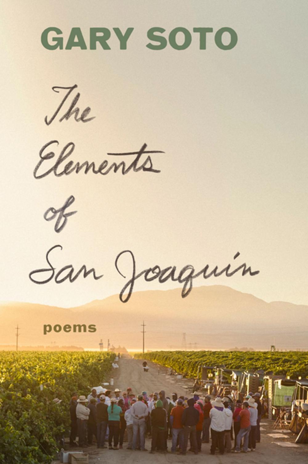 Big bigCover of The Elements of San Joaquin