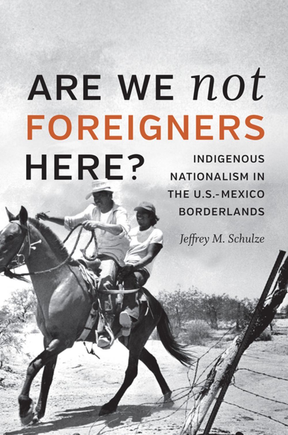 Big bigCover of Are We Not Foreigners Here?