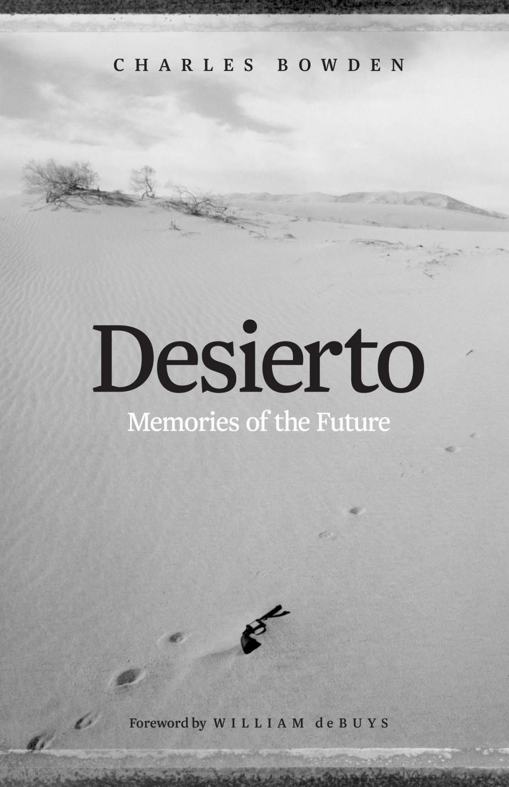 Big bigCover of Desierto