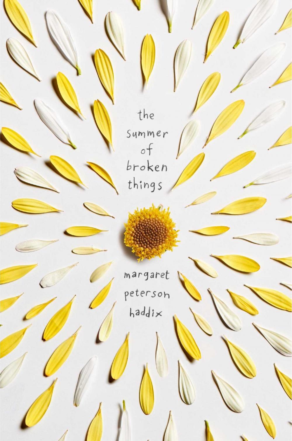 Big bigCover of The Summer of Broken Things