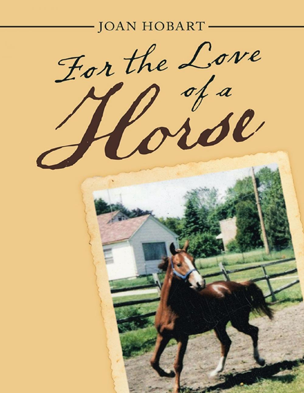 Big bigCover of For the Love of a Horse