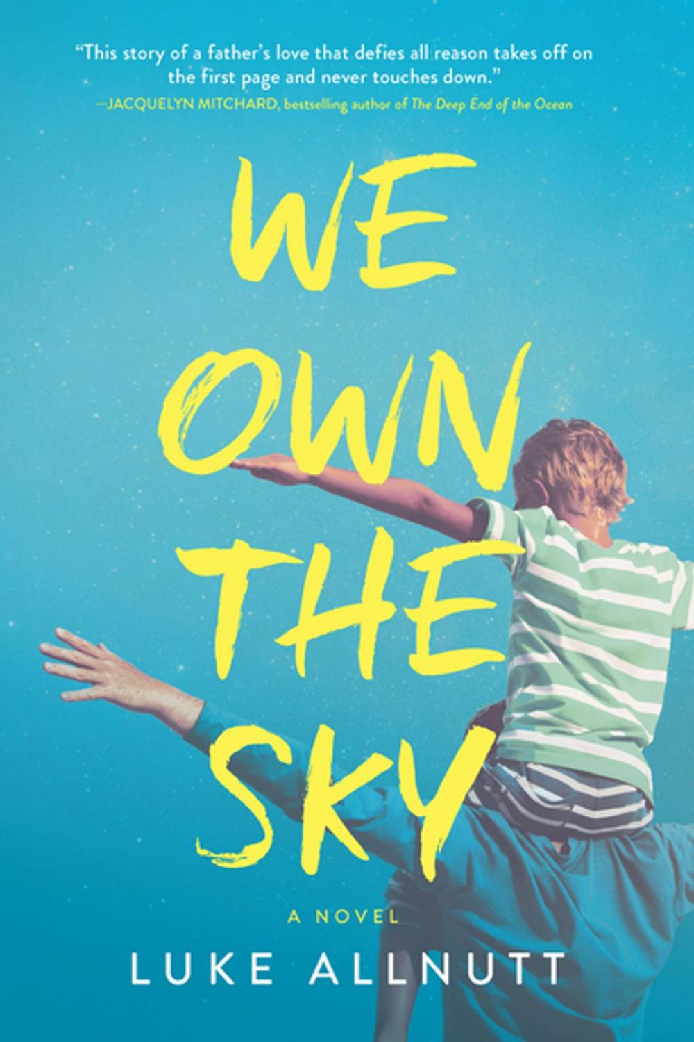 Big bigCover of We Own the Sky