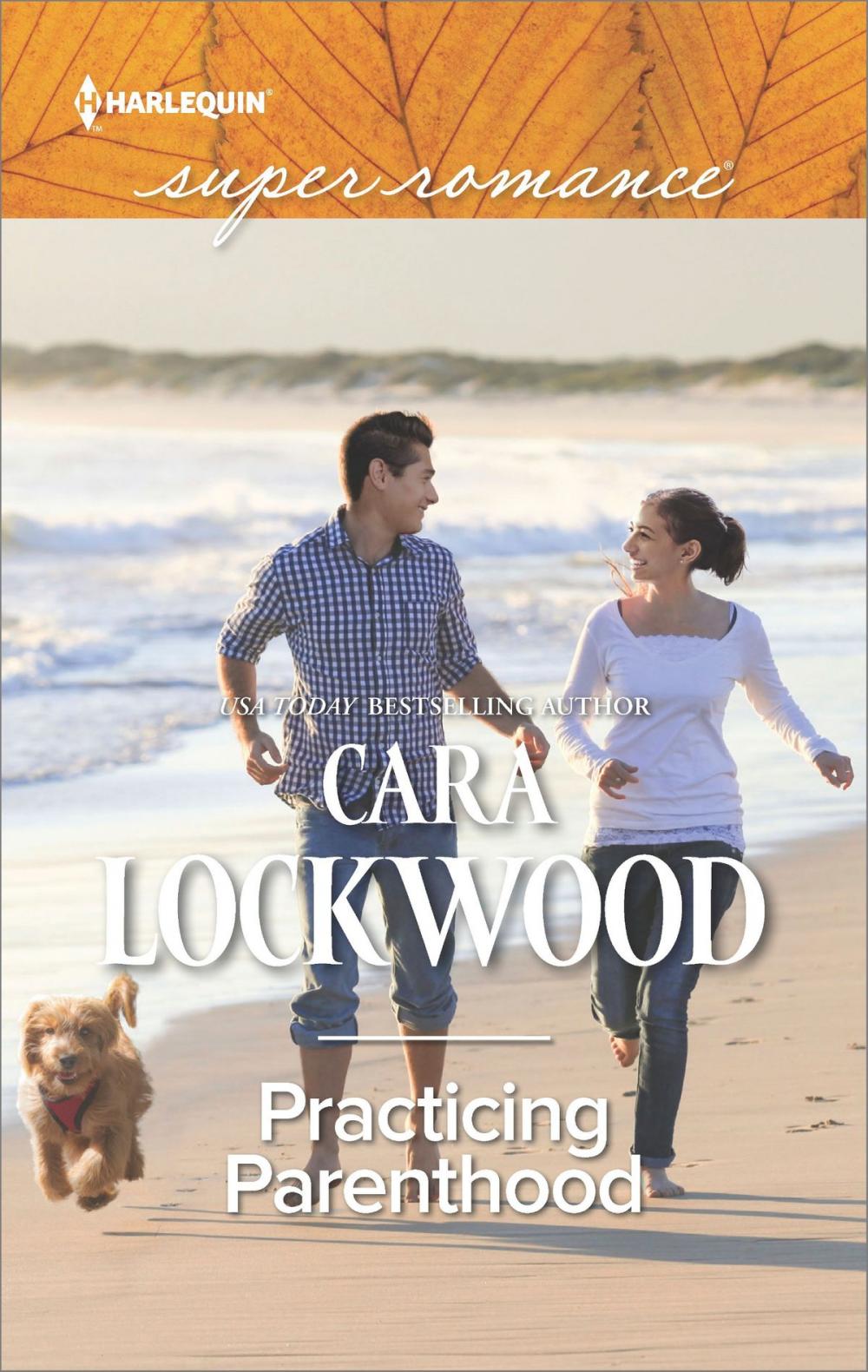 Big bigCover of Practicing Parenthood