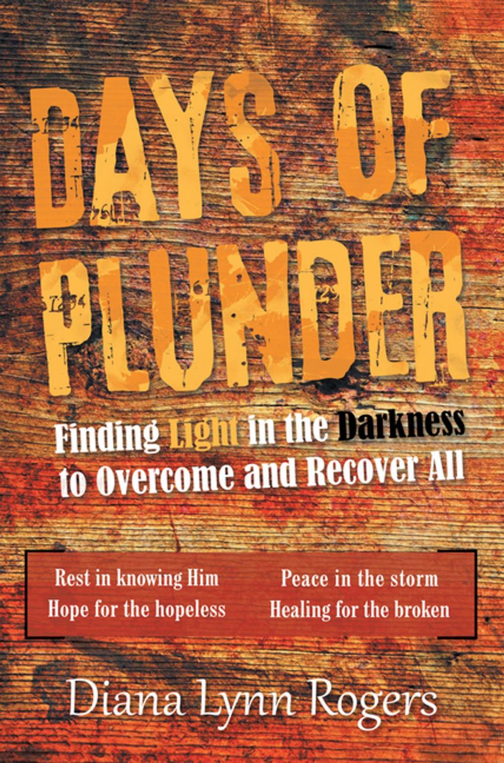 Big bigCover of Days of Plunder