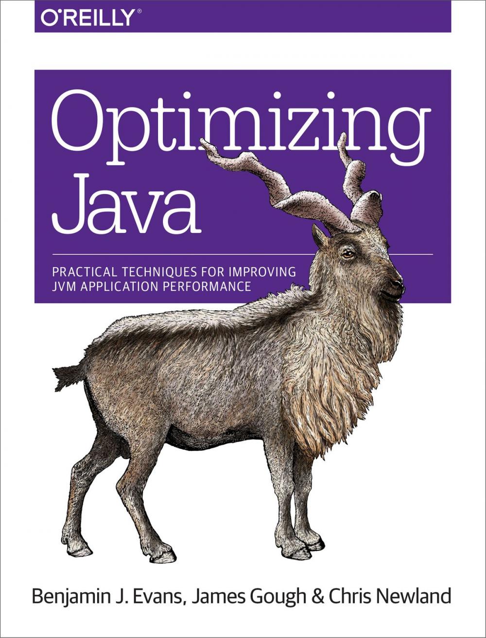 Big bigCover of Optimizing Java