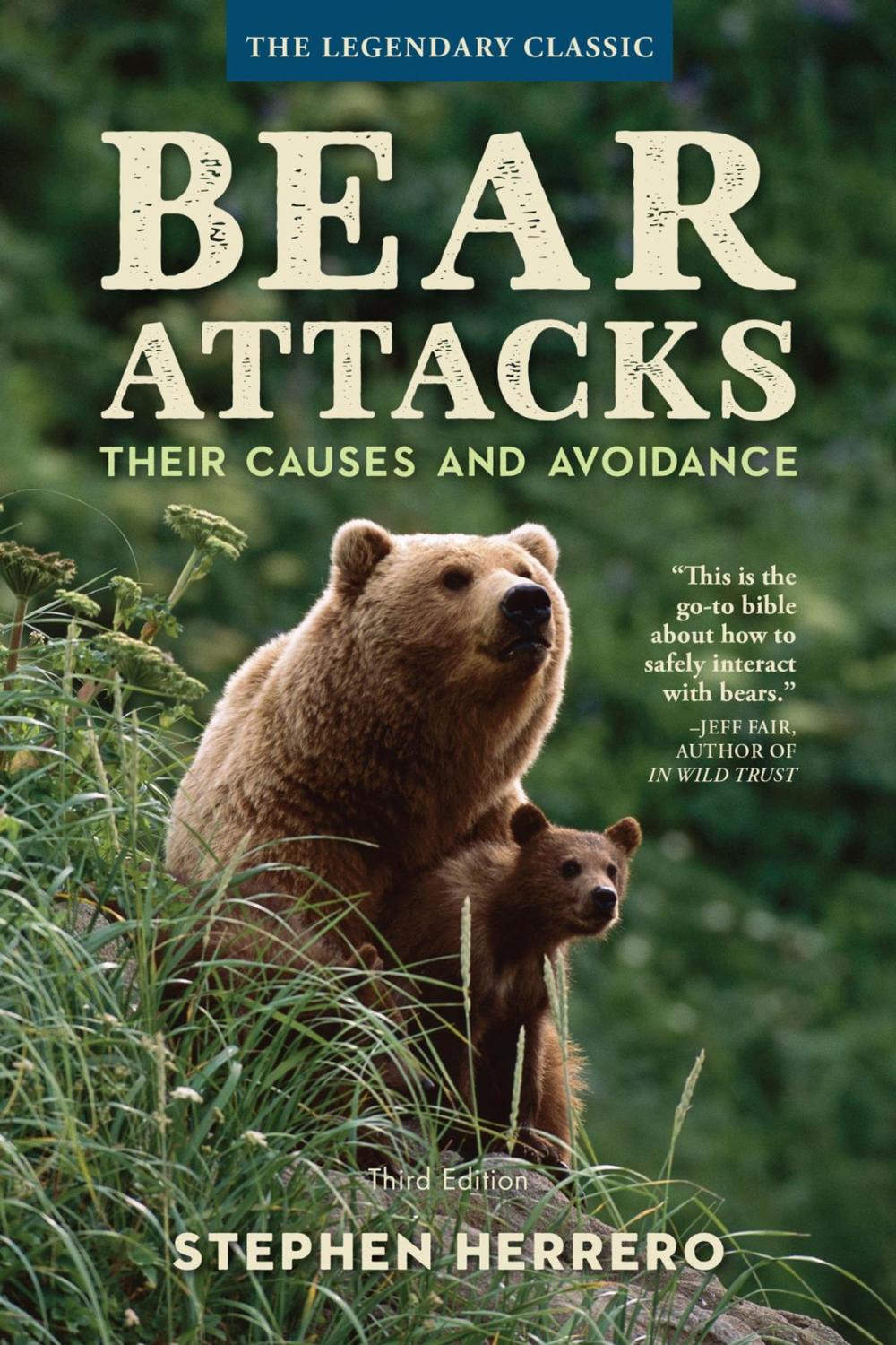 Big bigCover of Bear Attacks