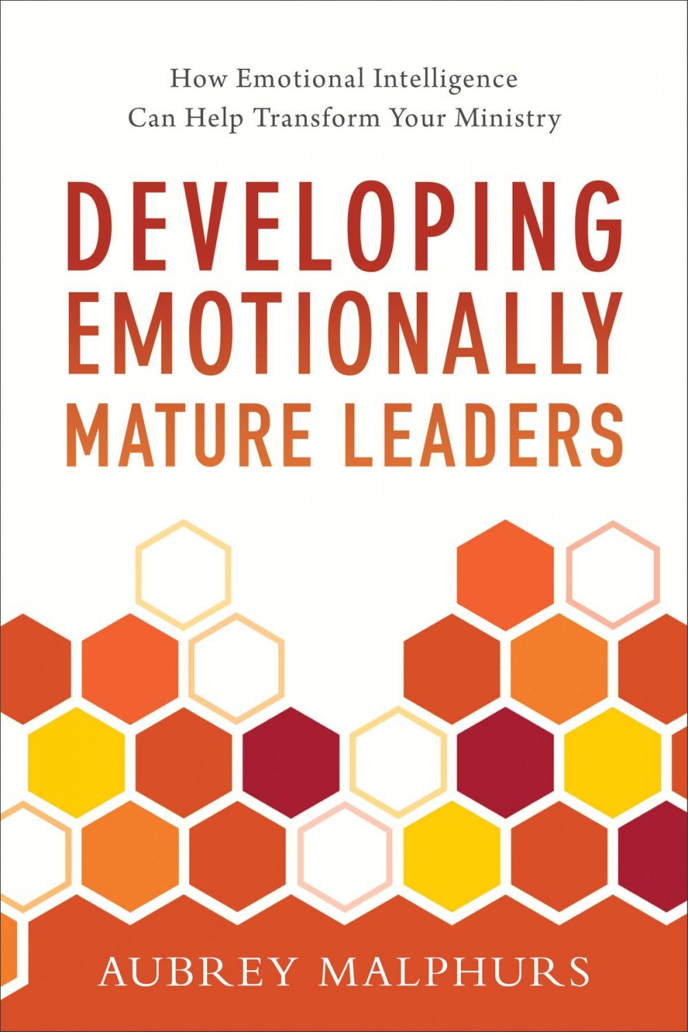 Big bigCover of Developing Emotionally Mature Leaders