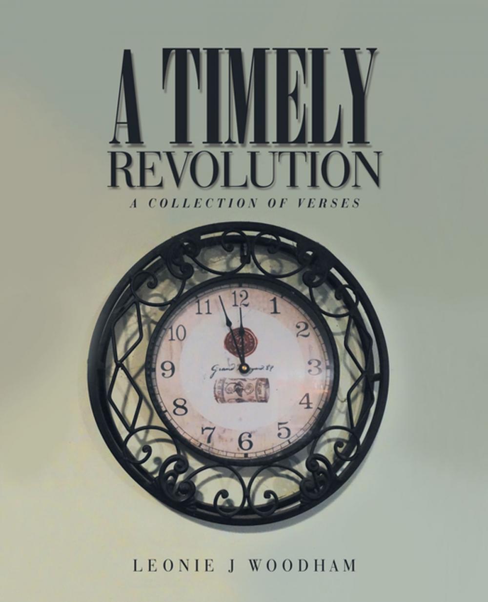 Big bigCover of A Timely Revolution