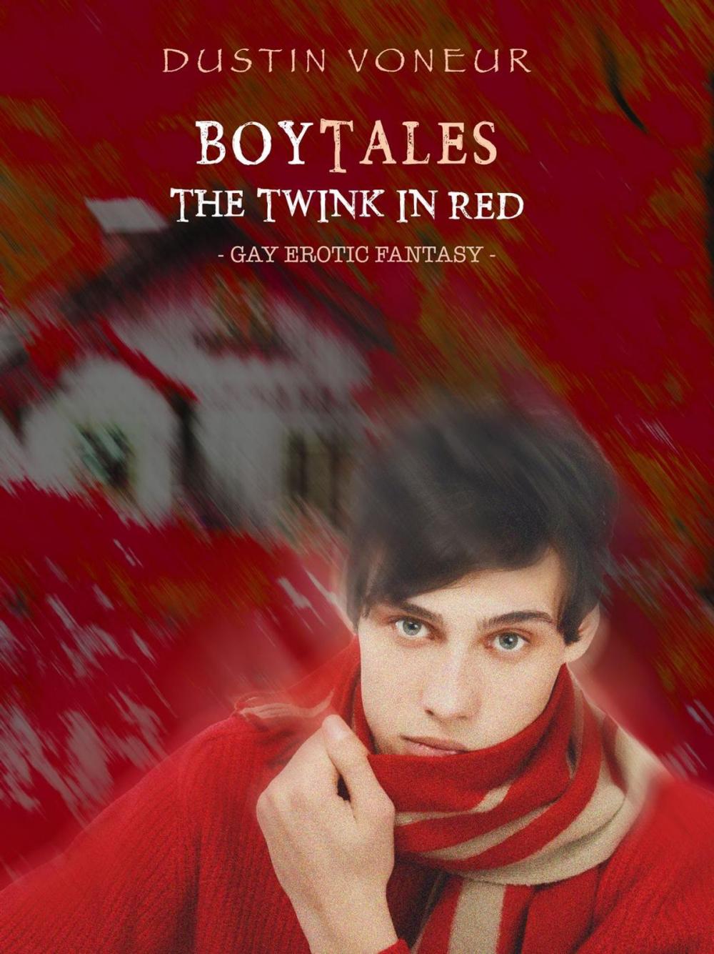 Big bigCover of BoyTales: The Twink in Red [Gay Erotic Fantasy]