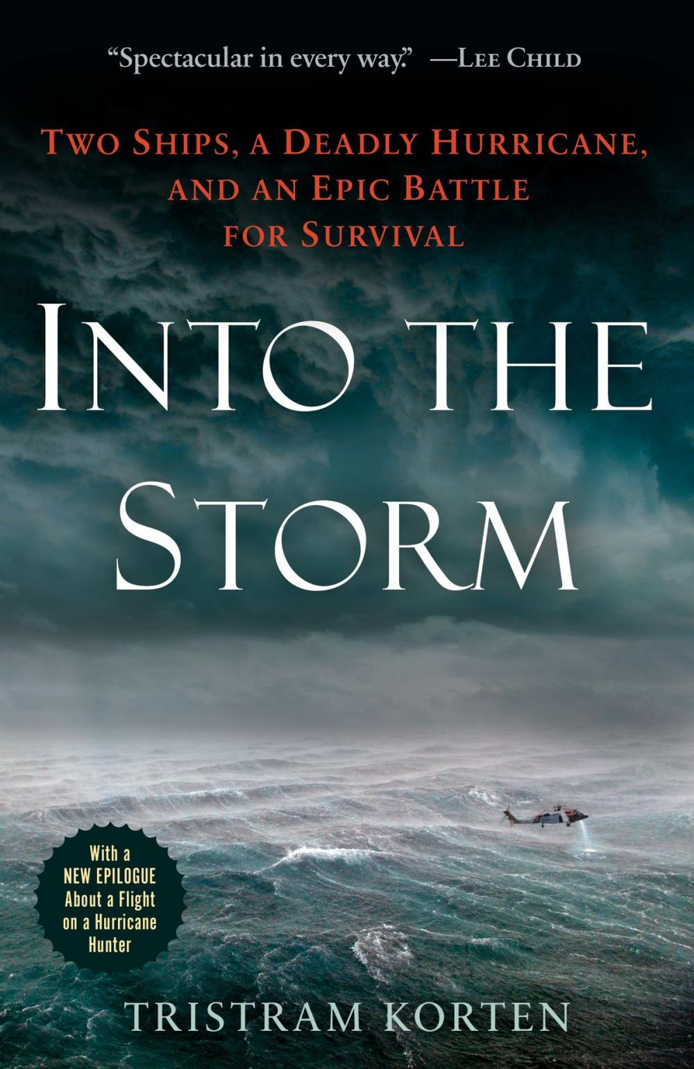 Big bigCover of Into the Storm