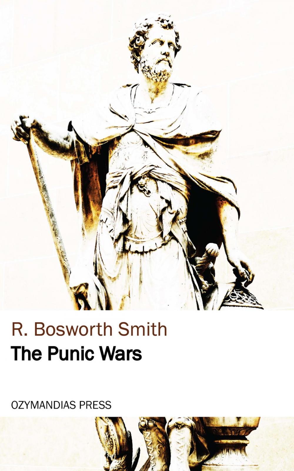 Big bigCover of The Punic Wars