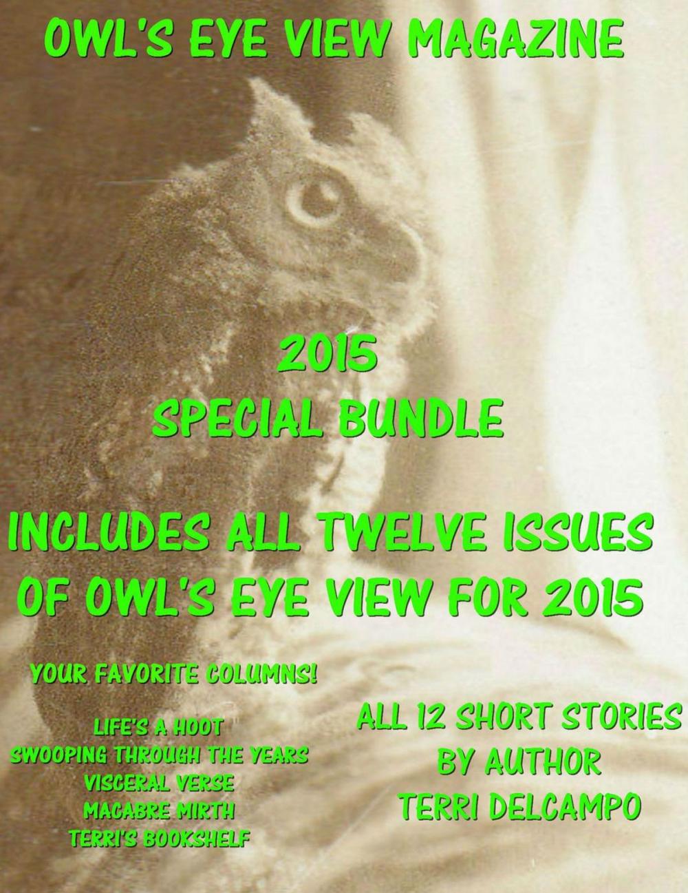 Big bigCover of Owl's Eye View Magazine - Volume 6 - 2015 Year End Bundle