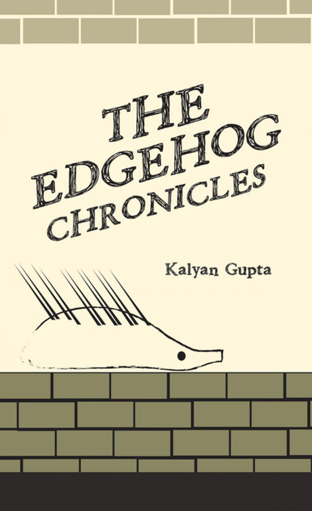 Big bigCover of The Edgehog Chronicles