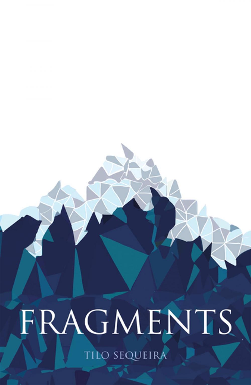 Big bigCover of Fragments