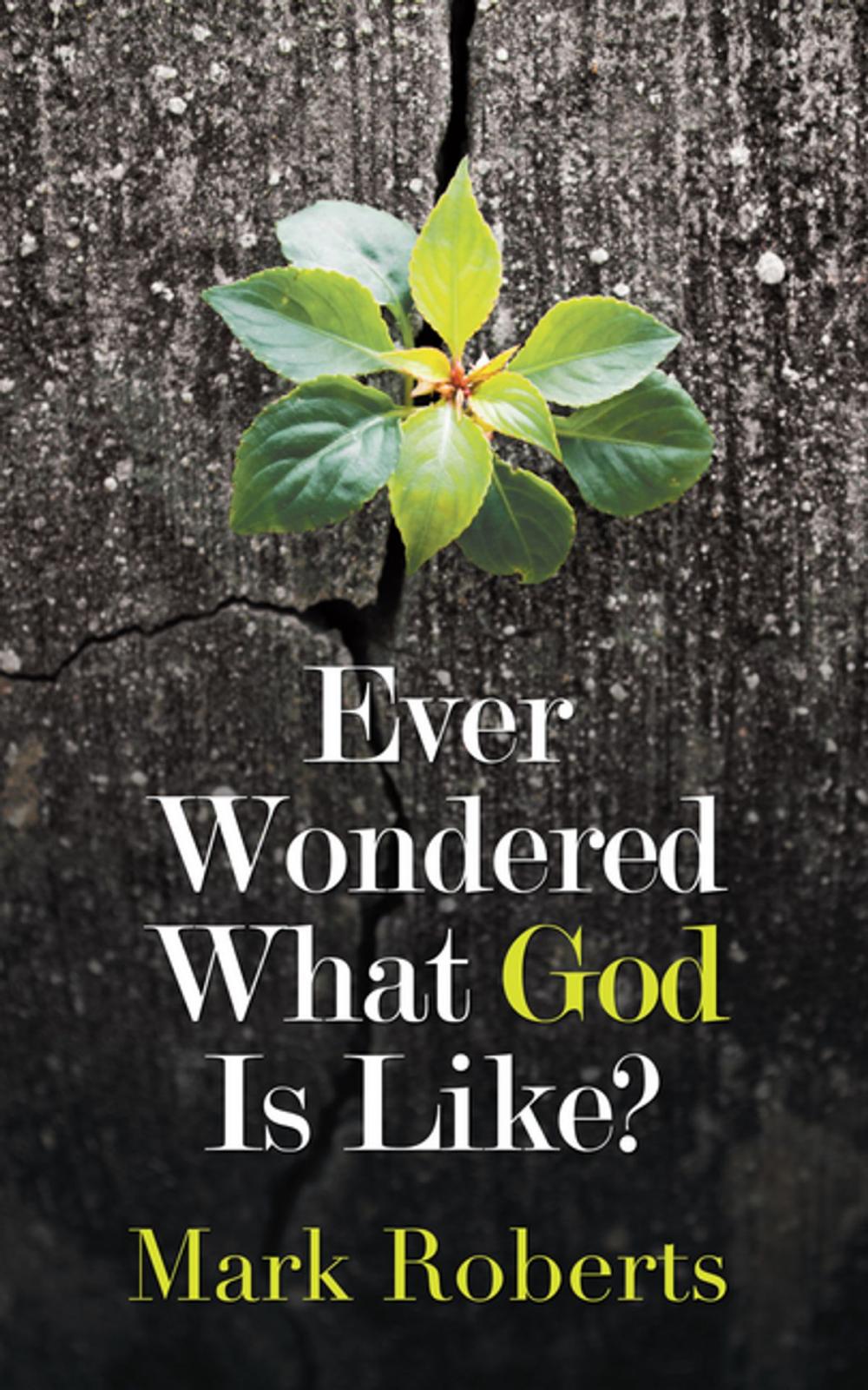 Big bigCover of Ever Wondered What God Is Like?