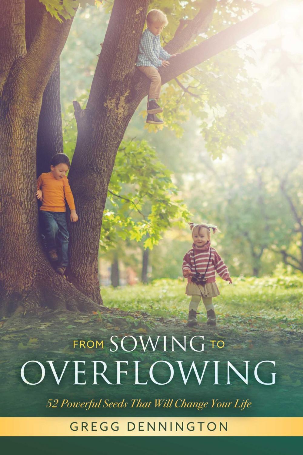 Big bigCover of From Sowing to Overflowing