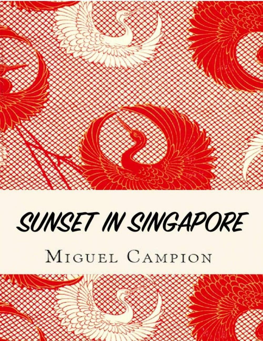 Big bigCover of Sunset in Singapore