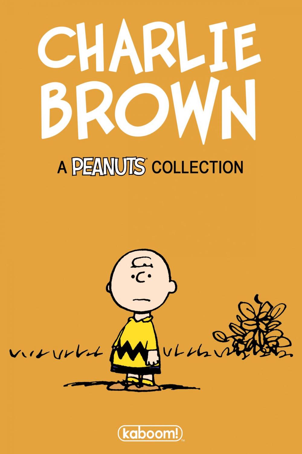 Big bigCover of Charles M. Schulz's Charlie Brown