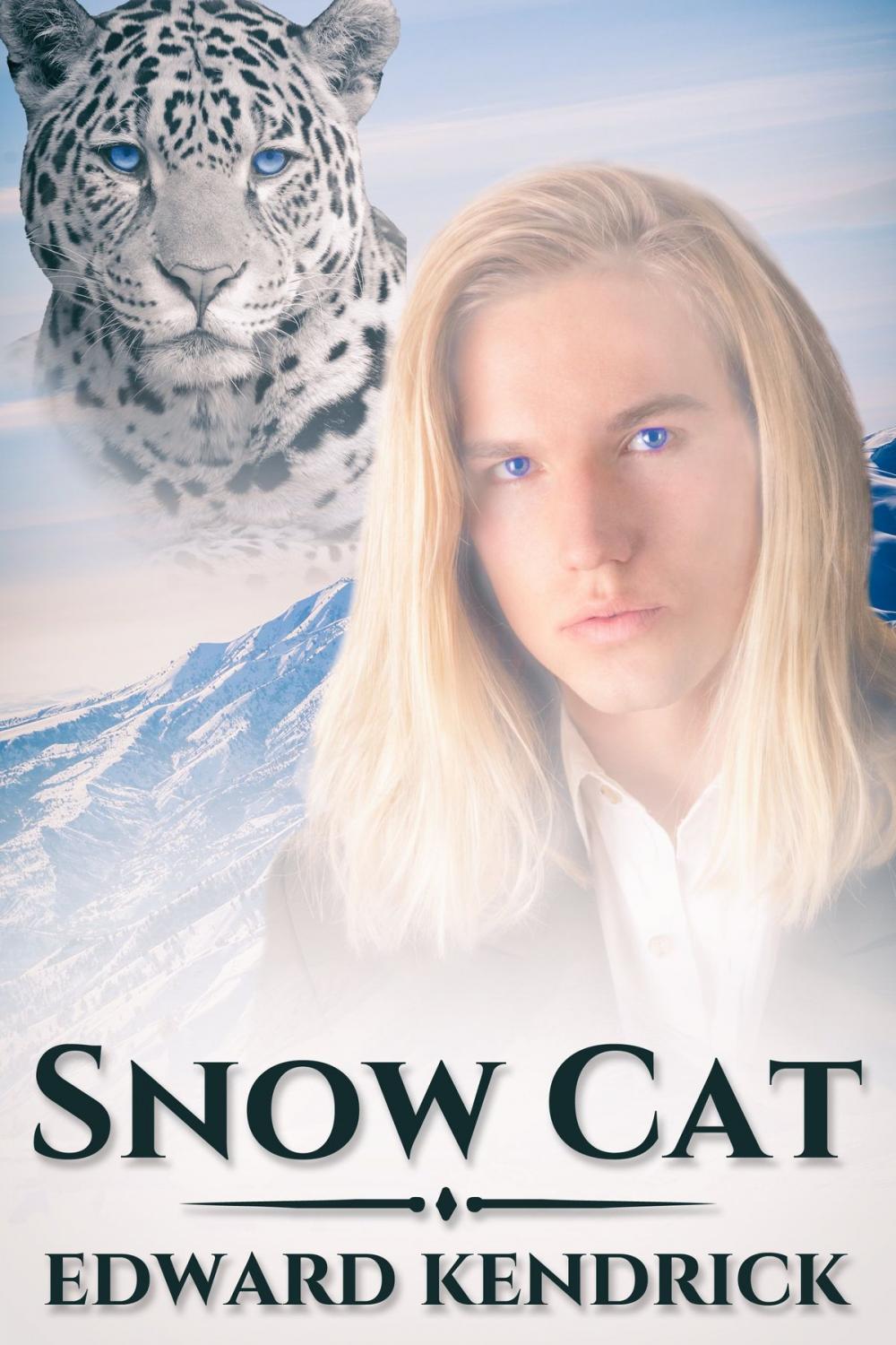 Big bigCover of Snow Cat