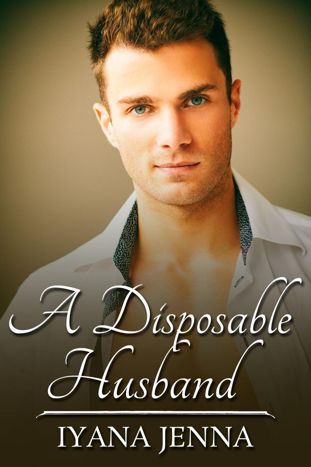 Big bigCover of A Disposable Husband