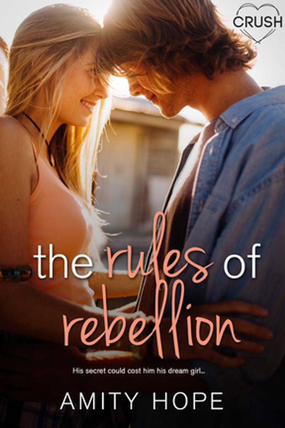 Big bigCover of The Rules of Rebellion